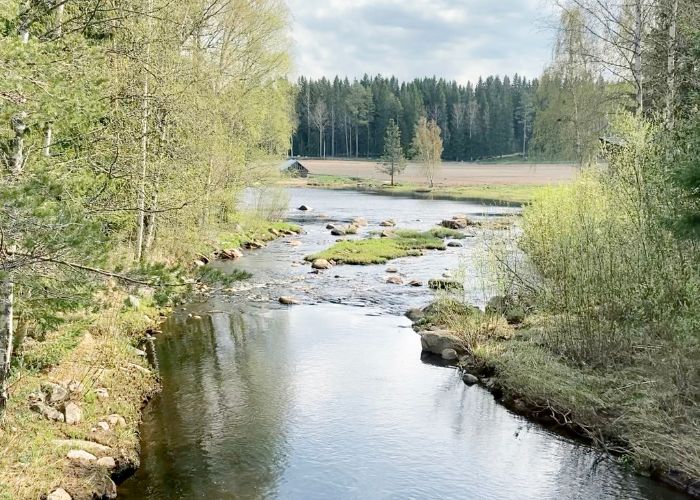 metsäretki veden viereen
